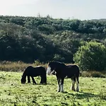 Niblick לינה וארוחת בוקר