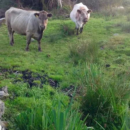 Frühstückspension Niblick 4*