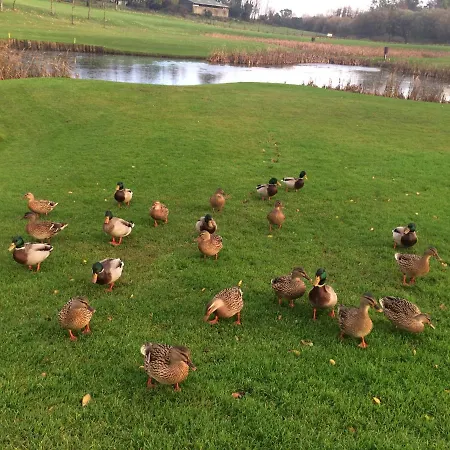Frühstückspension Niblick Bantry