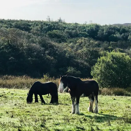 Niblick לינה וארוחת בוקר