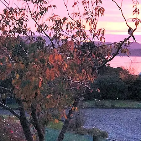 Niblick Bantry