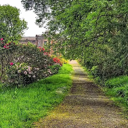 Niblick 4* Bantry