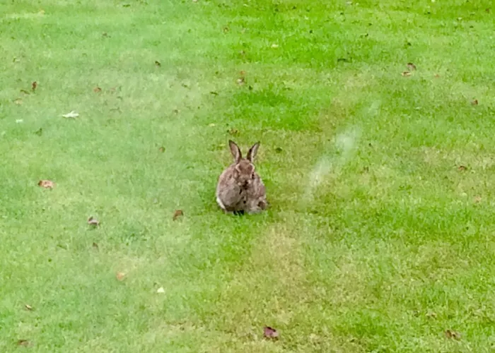 Bed & Breakfast Niblick Bantry