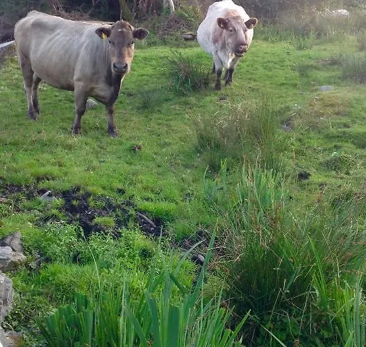 Bed & Breakfast Niblick 4*