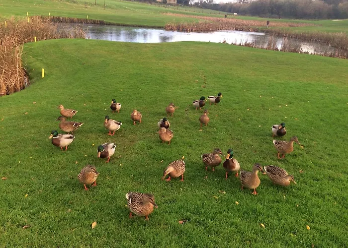 Bed & Breakfast Niblick Bantry