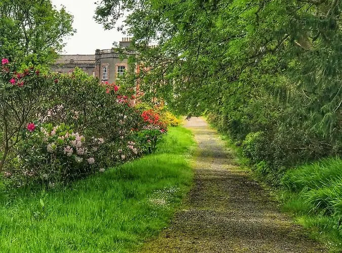 Bed & Breakfast Niblick