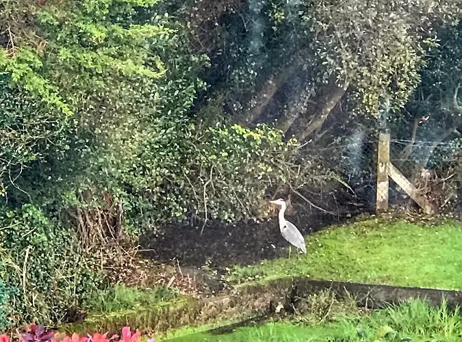 Niblick Bed & Breakfast